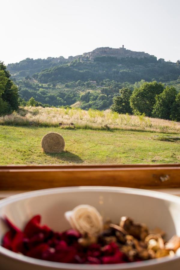 Il Sasso Di San Galgano Villa Киусдино Екстериор снимка